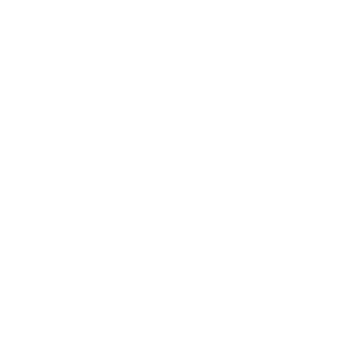 Julia Stipsits